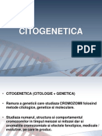 curs-2-Cromozomii (1).pdf