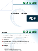 Cerulean Overview