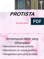 Kingdom Protista 2019