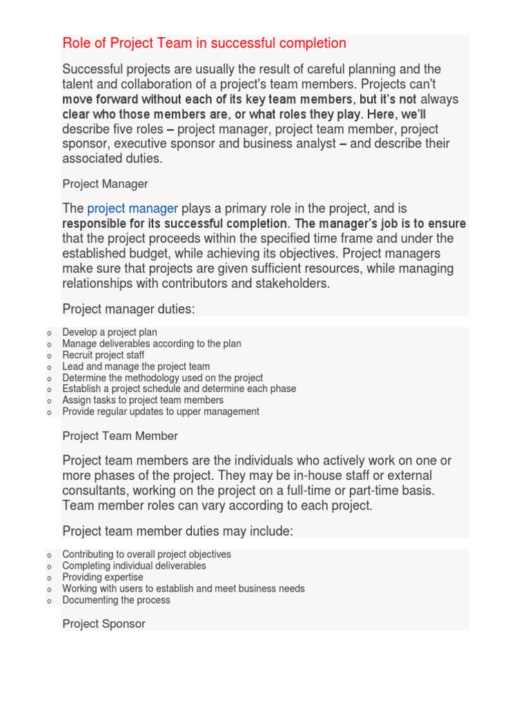 Key Roles in Project Team Success | PDF | Project Finance | Loans