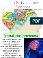 Brain Parts