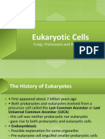 Eukaryotic Cells & Microorganisms - Aug2016