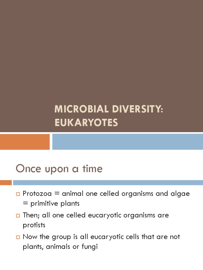 Eukaryotic Microbial Diversity Overview | PDF | Protozoa | Fungus