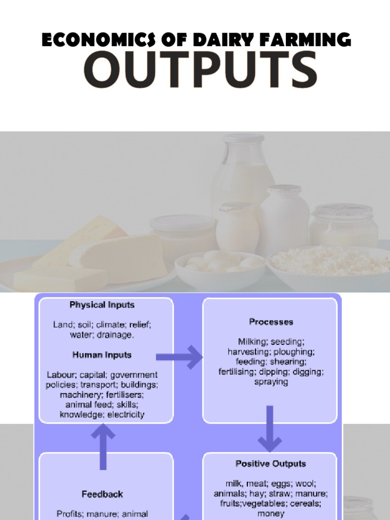 Outputs of Dairy Farming Dairy Dairy Farming