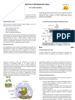 Manejo de La Fertilidad Del Suelo 