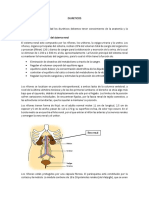 Diureticos