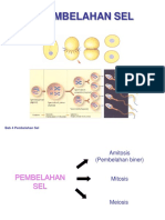 Bab 4 PEMBELAHAN SEL