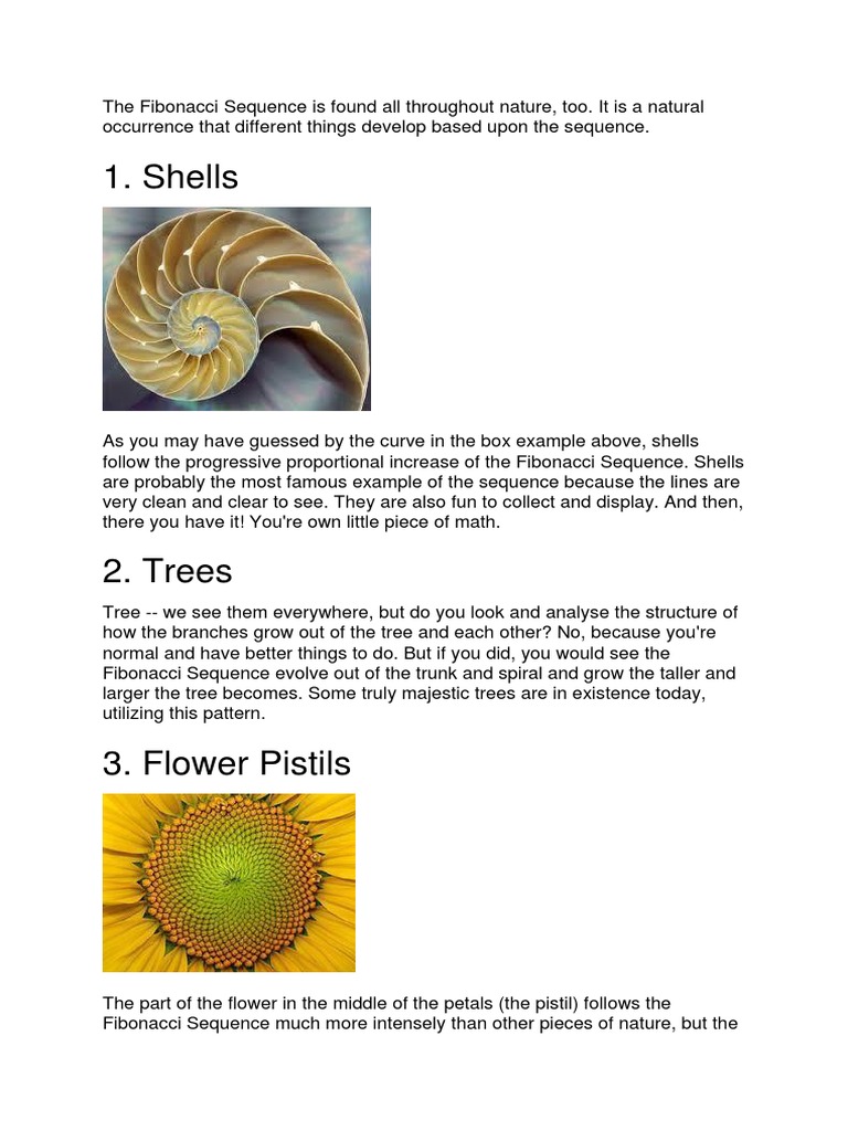 Fibonacci Sequence In Nature For Kids