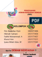 Kelompok 2 (Pencegahan DBD)