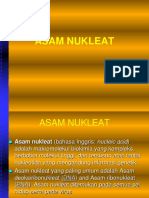 Asam Nukleat