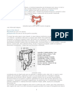 clisma acasa - Copy.pdf