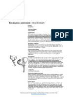 Fact Sheet Eucalyptus Paniculata Grey Ironbark PDF