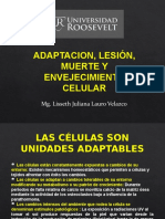 Lesion y Muerte Celular.ppt