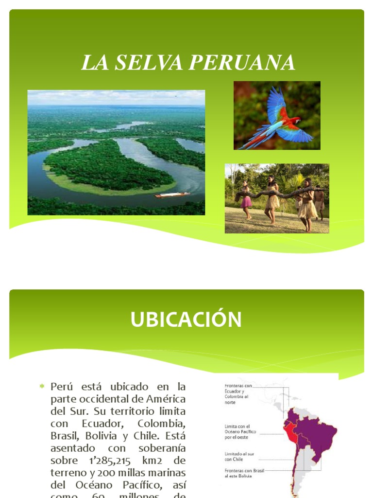 La Selva Peruana | PDF