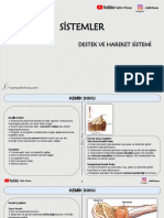 Ders Notları PDF