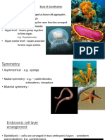 Animal Kingdom PPT 3 - Class 9 | PDF | Sponge | Organisms