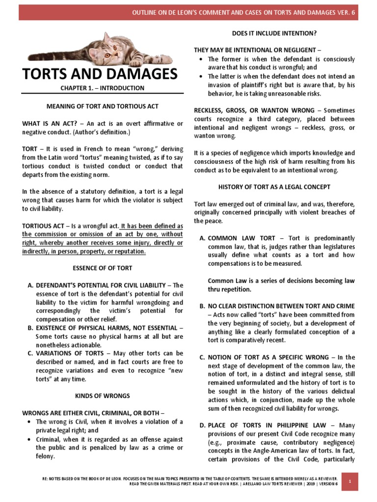 Torts and Damages Overview in Philippine Law | PDF | Tort | Damages