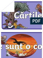 Cartile Sunt o Comoara - Banner PDF