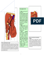 LP6 NERVII MEMBRULUI SUPERIOR.pdf