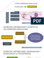 Hormonas masculinas: testosterona y andrógenos