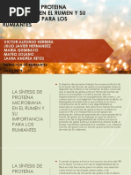 La Sintesis de Proteina Microbiana en El Rumen y Su Importancia Para Los Rumiantes