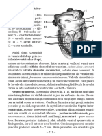2.sistemul Respirator PDF