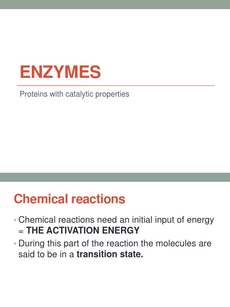 Understanding How Enzymes Catalyze Biochemical Reactions PDF Active