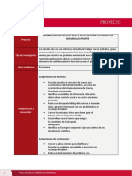 Guía Proyecto.pdf