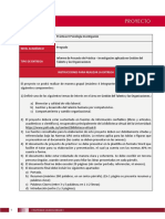 Guía Proyecto de Práctica II- Investigación Organizacional