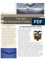 Dia Nacional Del Condor Andino