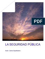 seguridad-publica-monografia.pdf