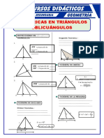 Relaciones-Métricas-en-Triangulos-Oblicuangulos-para-Cuarto-de-Secundaria.doc