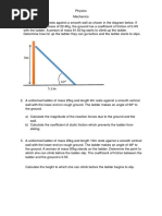 Physics Ladder Problem