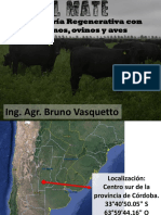 1- Bruno V. Salto Uru.pdf
