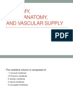 Anatomy, Neuroanatomy, and Vascular Supply