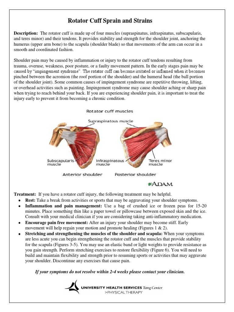 Rotator Cuff Injury Treatment Guide | PDF | Shoulder | Limbs (Anatomy)