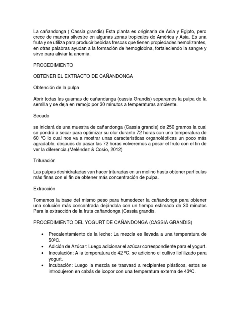 Yogurt de Cañandonga | PDF | Cocina, comidas y vino