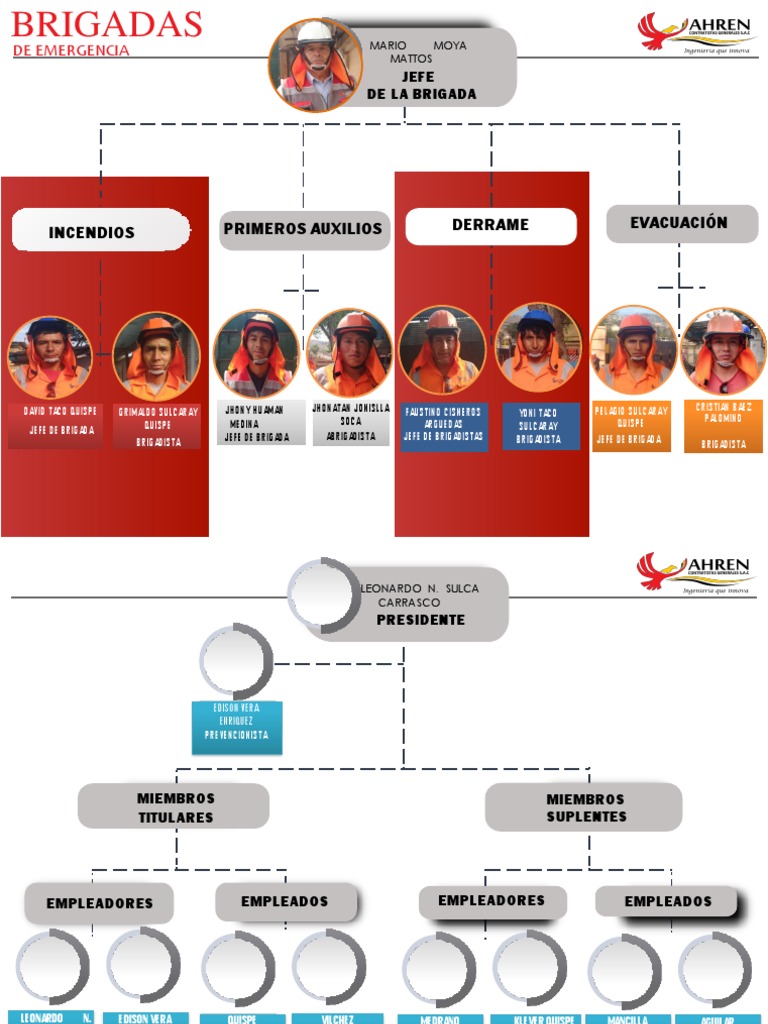 Organigrama de Brigadas CSST PDF