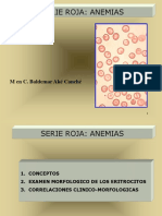 1.6 La Serie Roja Anormal [1] (ROSARIO)Anemia Ferropenica