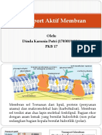 Dinda Cantik Revisi-Dikonversi