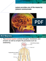 The Nervous System Provides One of The Means by Which Organ Systems Communicate