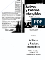 Activos y Pasivos y Intangibles