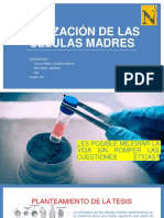 Utilización de Las Células Madres