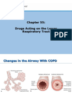 Drugs Acting On Lower Respiratory