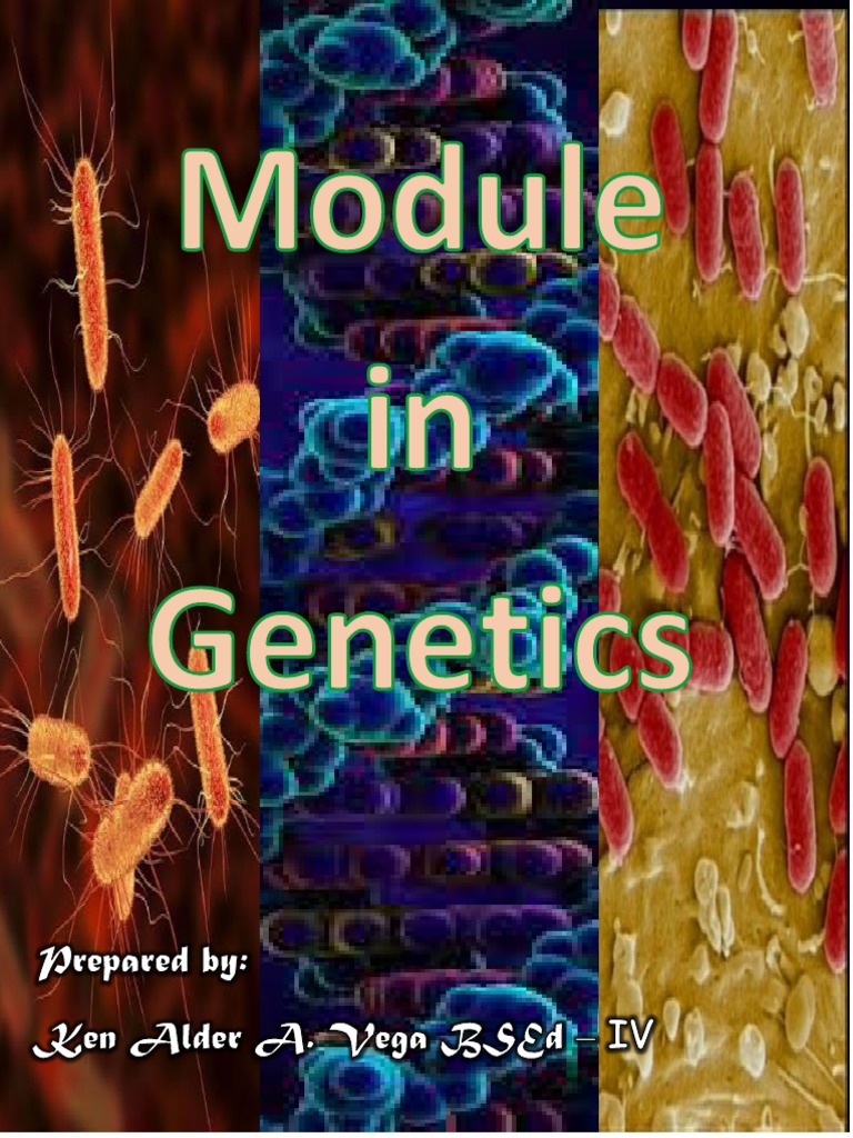 Genetics Overview and Key Concepts | PDF | Mitosis | Meiosis