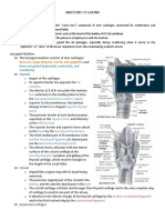 Anatomy of Larynx: Three Are Single (Thyroid, Cricoid, and Epiglottic)