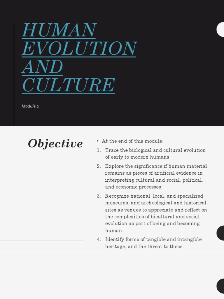 Human Evolution and Cultural Development | PDF | Human | Homo