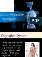 Digestive System (Final)