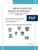 Conclusión "La Cuarta Oleada de Organismos Internacionales"