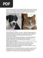 Revista Ciencia Hoje das Criancas